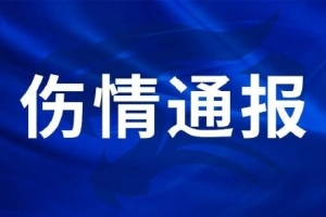 喀麦隆U17男篮vs加拿大U17男篮jrs直播_喀麦隆U17男篮vs加拿大U17男篮jrs直播在线观看_免费看直播