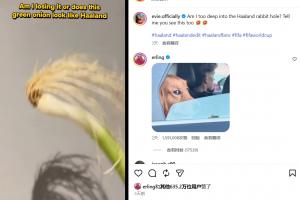 免费南非vs加拿大低调看直播_免费南非vs加拿大低调看直播在线观看_免费看直播