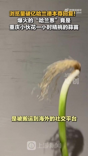 今日阿根廷vs奥地利十佳球jrs直播_今日阿根廷vs奥地利十佳球jrs直播在线观看_免费看直播